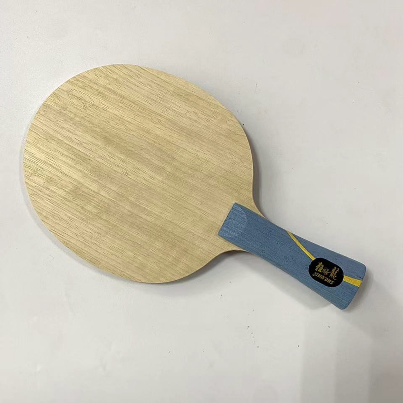 Table Tennis Xu Xin - Paleta de Tenis de Mesa DIY