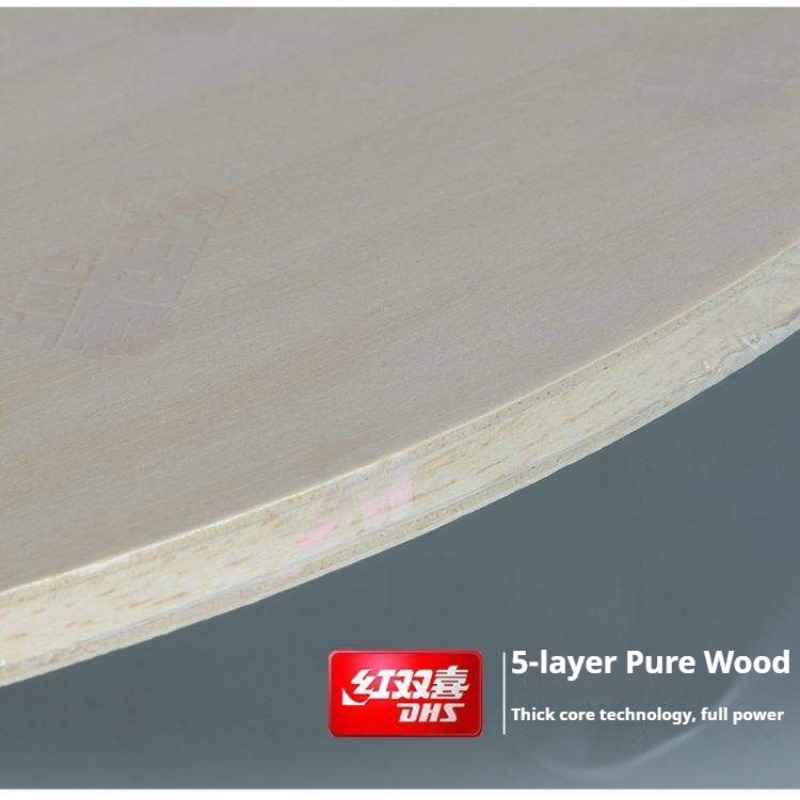 Raqueta de Tenis de Mesa DHS W - Table Tennis Paddles reseña y precio