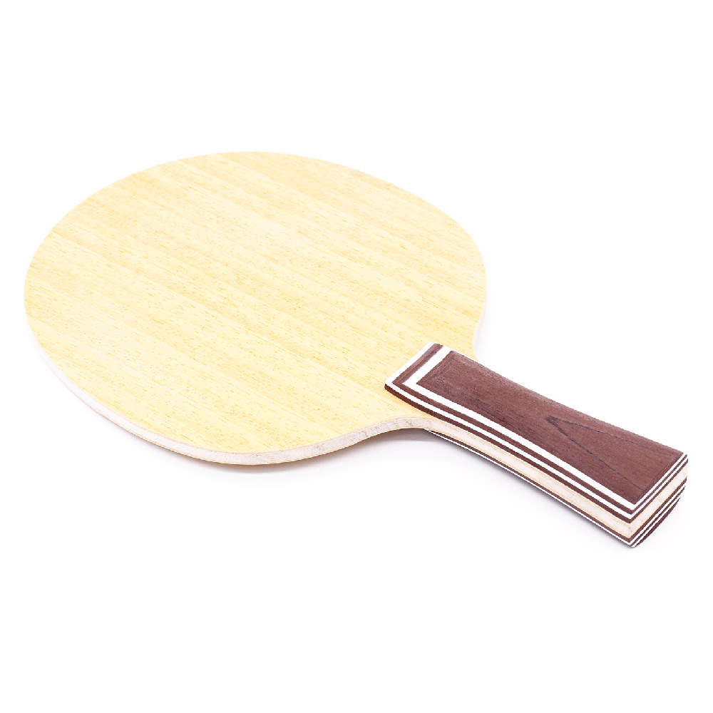 Hoja de tenis de mesa personal - Table Tennis No 1 reseña y precio