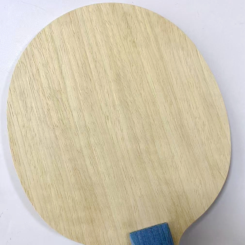 Paleta de Tenis de Mesa DIY W9 - Table Tennis Xu Xin reseña y precio