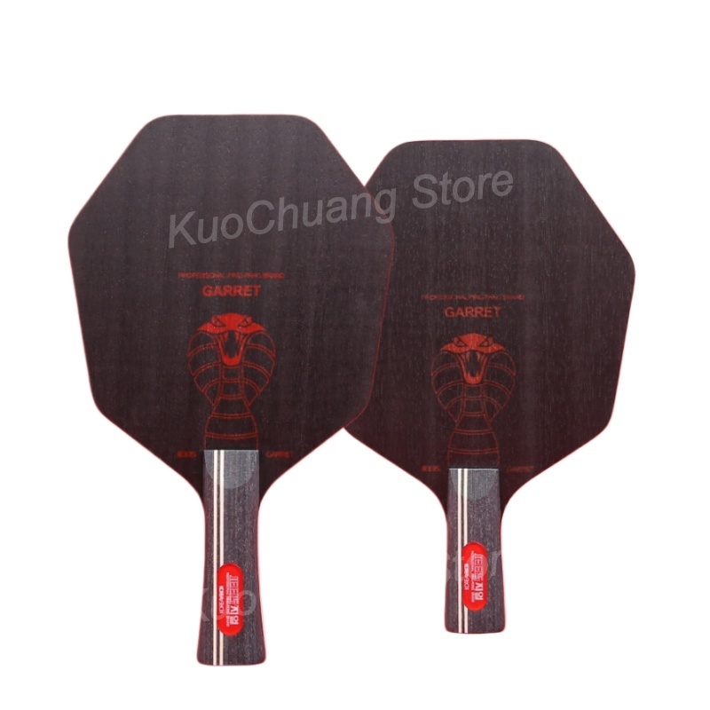 Pala de Tenis de Mesa Hexagona - Table Tennis Paddles reseña y precio