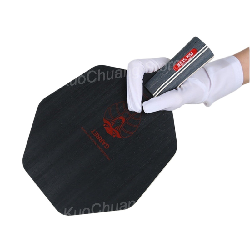 Pala de Tenis de Mesa Hexagona - Table Tennis Paddles reseña y precio