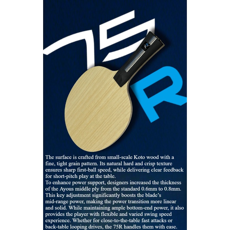 SANWEI 75R 5+2 Outer H-GLC, Pa - Table Tennis Paddles reseña y precio